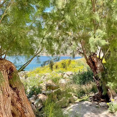Villa Eirini - Peace And Tranquility - A Hideaway